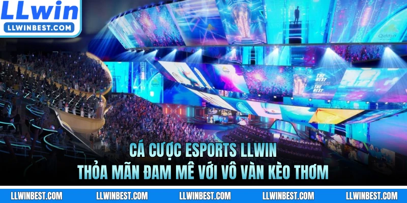 Cá Cược Esports LLWIN - Thỏa Mãn Đam Mê Với Vô Vàn Kèo Thơm